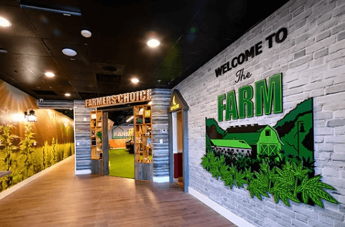 Elevating Cannabis Brands with a Dispensary Marketing Agency